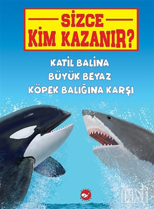 Katil Balina Büyük Beyaz Köpek Balığına Karşı - Sizce Kim Kazanır?
